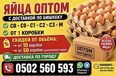 Яйца оптом с доставкой по Бишкеку. Ассортимент по категориям: СВ, С0