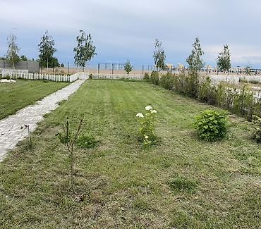 Аренда коттеджей и домов на Иссык-Куле: Коттедж, Palm Beach, Чок-Тал, 7 мест — 1