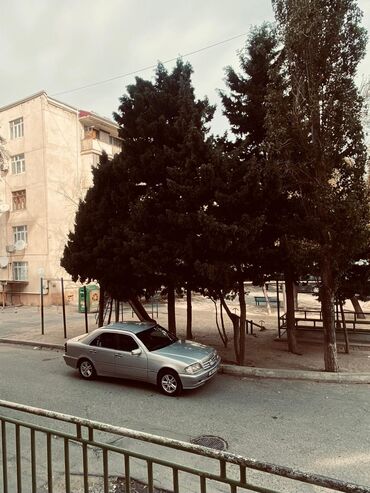 Digər Avtomobillər: C280Aftomat Benzin kondisaner lük işlekdi 7800 manat. vatcap — 11