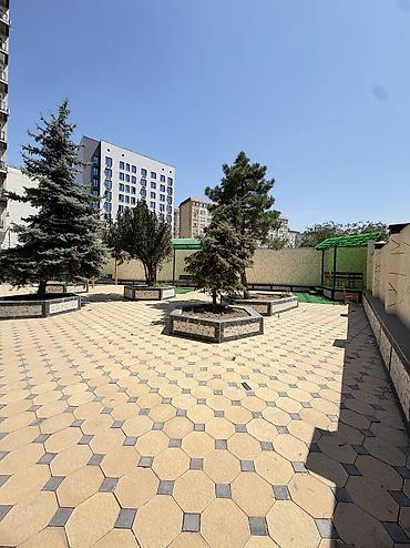 квартира семеный: 2 комнаты, 64 м², Средний Джал Элитка, 10 этаж, Дизайнерский ремонт — 10
