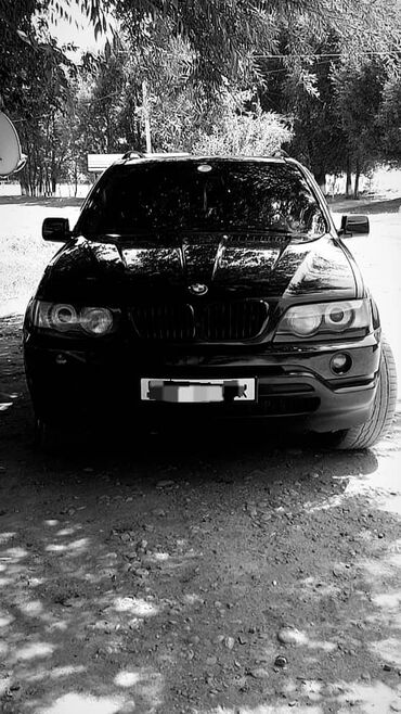ras oboi: BMW X5: 2004 г., 4.4 л, Автомат, Бензин, Универсал