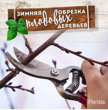 обрезка сада: 🌿 Обрезка плодовых деревьев 🌿 Обработка плодовых деревьев 🌿 Обрезка