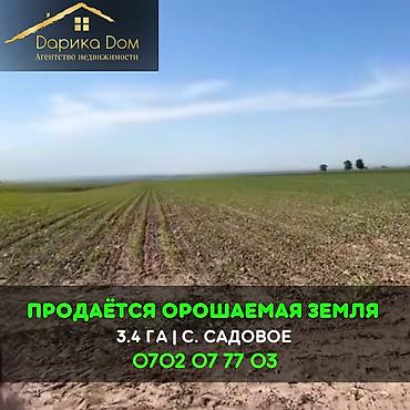 поливной участок: 340 соток — 1