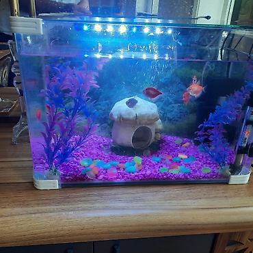 100 l akvarium: Tam komplekt akvarium dəsti - Şəffaf şüşə akvarium, düzbucaqlı forma — 3