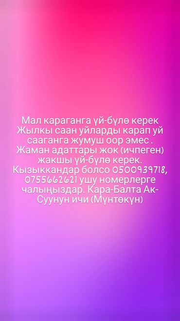 электрик услуга: Срочно ищем семейный скотник с проживанием зарплата хорошая