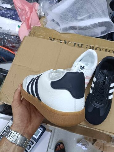 Patike: Adidas, 41 — 14