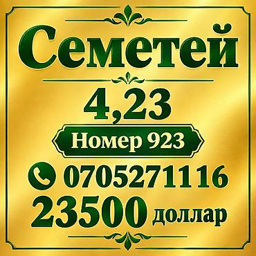 хатсан 25: Эксклюзивный номерной знак «Семетей» - Номер: 923 - Обозначение — 1