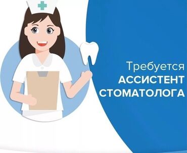 помошник по дому: Требуются ассистенты В стом.клинику Дипломат Дружный коллектив Все