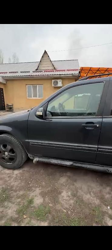 w163: Mercedes-Benz ML-Class: 2003 г., 3.2 л, Автомат, Бензин, Кроссовер — 6