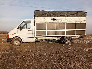 Грузовики: Грузовик, Стандарт — 8