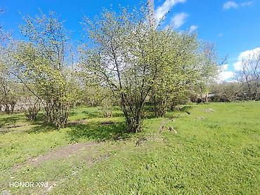 Torpaq sahələrinin satışı: Azərbaycanın ən gözəl guşələrindən biri olan Oğuz rayonu Xaçmaz — 29