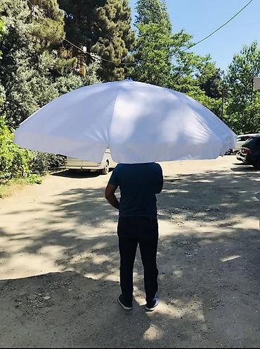 Bağ çətirləri: Ag zontik teze mallar
Ağ zontik
Ağ çətir — 2