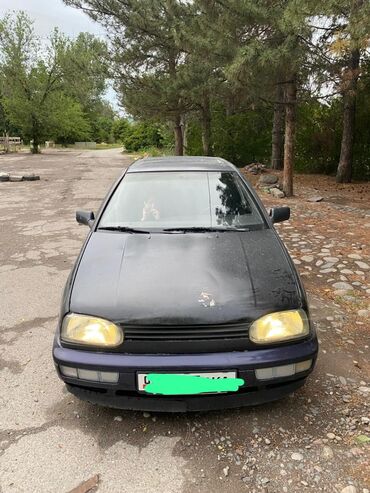 Volkswagen: Volkswagen Golf: 1993 г., 1.6 л, Механика, Бензин