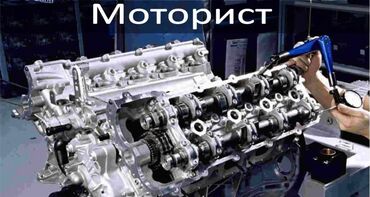 Автомеханики: Требуется Автомеханик - Замена масла, Процент от дохода, 1-2 года опыта, Обучение