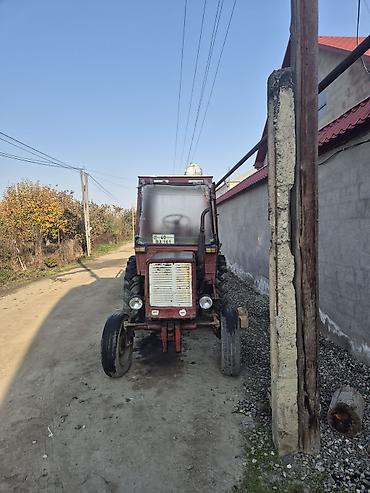 muhərrik yastığı: Vladimirəs MTZ tipli kiçik traktor - Dizel mühərrik, yan əvəldə — 5