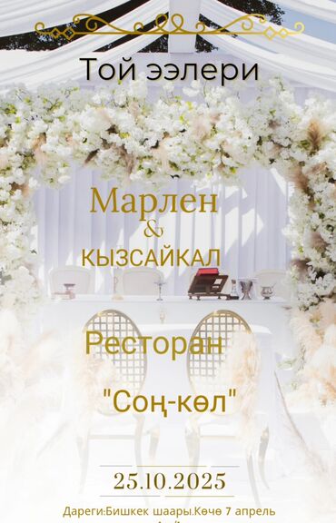 базирон ас гель цена бишкек: Организация мероприятий | Оформление мероприятий