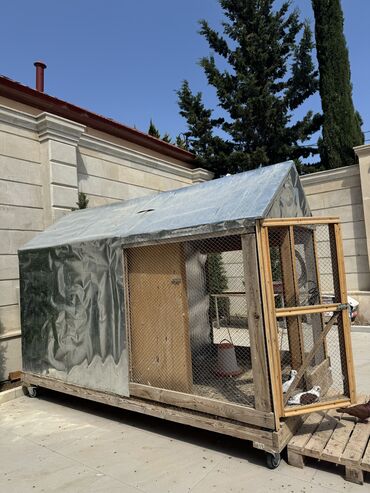 Qəfəslər: 700azn qus dami + isteye gore quslarla birlikde 850azn, (30+ qus var)