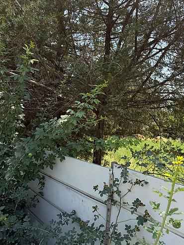 Продажа коттеджей и домов: Продаётся дом с большим участком в Сокулукском районе, в селе — 2