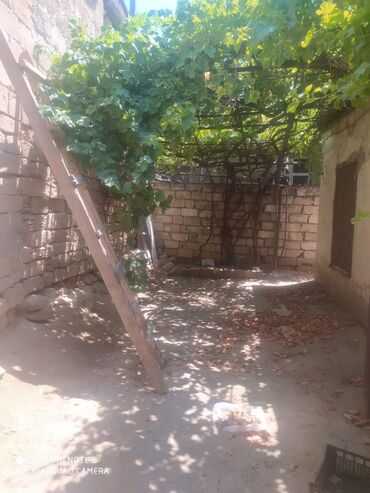 Otaqların uzunmüddətli kirayəsi: Təcili olaraq Bineqedi rayon 1-ci meden korpus 47 ev 286 torpaq — 11