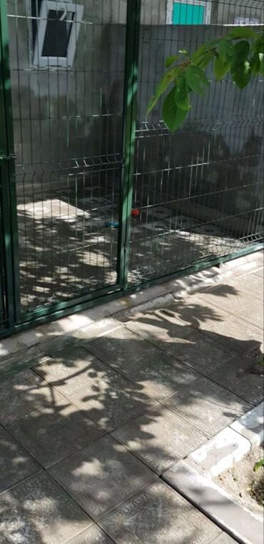 Другие услуги: Зоостиница Гостиница для собак Платная передержка Вам срочно — 6