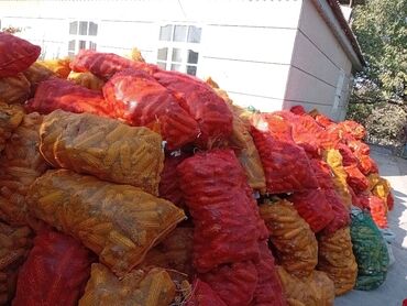 семена календулы: Жүгөрү Дүңүнөн