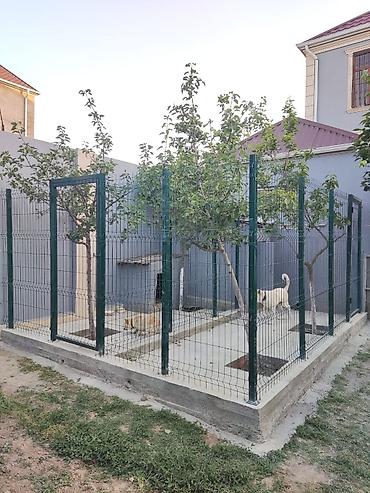 3d panel: Hasarlanma üçün nəzərdə tutulmuş,keyfiyyətli,setkaların — 3