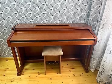 Музыкальные инструменты: Пианино, Steinway & Sons, Цифровой, Новый — 2