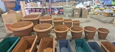 Bitkilər üçün dibçəklər: Dipcekler (Gül dipçekleri) gul qabilar dipcekler ferqli çesidler -da lalafo.az — 14 Bitkilər üçün dibçəklər: Dipcekler (Gül dipçekleri) gul qabilar dipcekler ferqli çesidler — 14