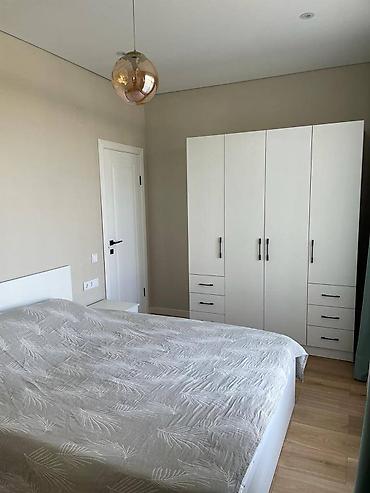 Долгосрочная аренда домов: 100 м², 3 комнаты, Евроремонт — 9