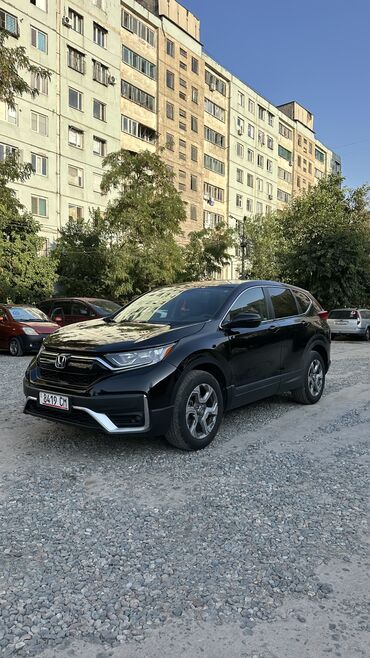 купить хонда срв в бишкеке: Honda CR-V: 2019 г., 1.5 л, Вариатор, Бензин, Кроссовер