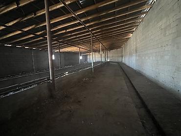 Продажа сельхоз предприятий: Сельскохозяйственные корпуса/сараи под фермерство Описание: - — 1