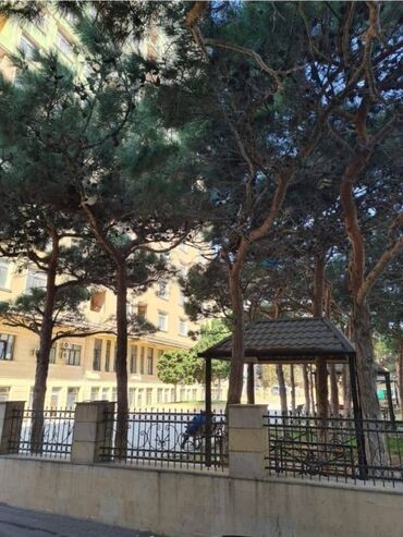 Yeni tikili: 3 otaqlı, Yeni tikili, 90 kv. m — 22