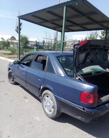 Audi: Audi 100: 1993 г., 2.3 л, Механика, Газ, Седан