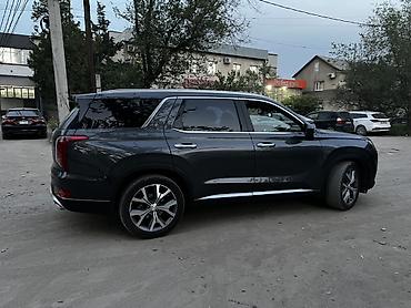 сажевый: Hyundai Palisade: 2018 г., 2.2 л, Автомат, Дизель, Кроссовер — 4