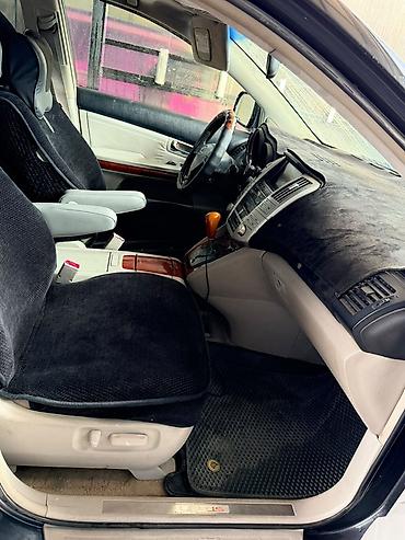 Lexus: Lexus RX: 2004 г., Автомат, Кроссовер — 10