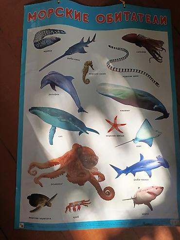 Игрушки: Продаю детские игрушки, обучающие пособия, игровой материал, бусины — 2