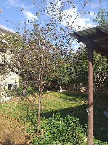 mingecevirde tecili satilan evler: Qəbələ, 260 kv. m, 7 otaqlı, Hovuzsuz, Su — 4