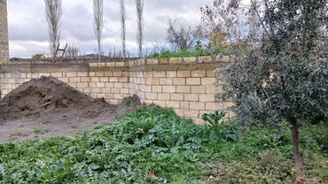 Torpaq sahələrinin satışı: 10 sot, Tikinti, Barter mümkündür, Kupça (Çıxarış) — 7