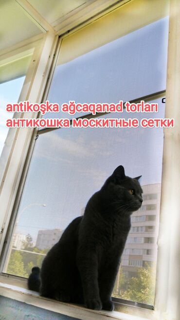 Jalüzlər: Jaluz-ağcaqanad torlari plastik qapı və pəncərə üçün, müxtəlif növləri — 9