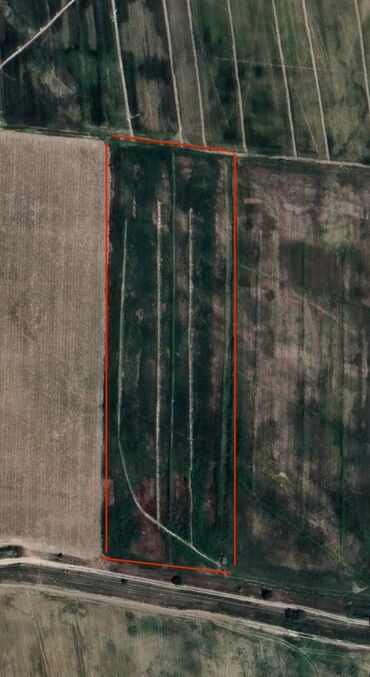 Продажа участков: 31 соток, Для строительства, Красная книга, Тех паспорт — 2