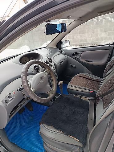 Toyota: Toyota Platz: 2000 г., 1.5 л, Автомат, Бензин, Седан — 5