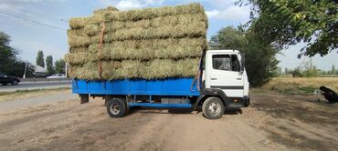 домкрат 5 тонн: Грузовик, Mercedes-Benz, Стандарт, 7 т, Б/у
