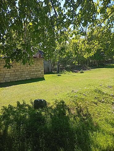 Torpaq sahələrinin satışı: 38 sot, Mülkiyyətçi, Kupça (Çıxarış) — 19