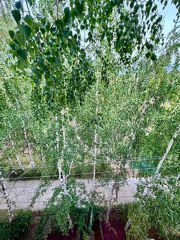 centr park: Аренда квартиры на Иссык-Куле, Кыргызское взморье, Бостери, 4 места, Цена Целиком за жилье — 8