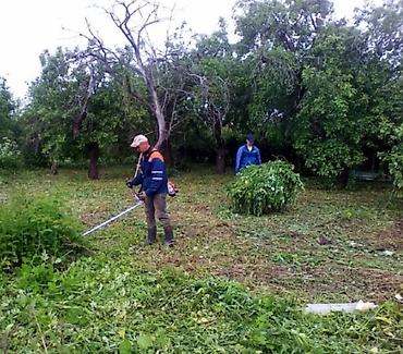 Другие услуги: Садовник! Стрижка изгороди! Улуги садовника. Наши услуги: Обработка — 8