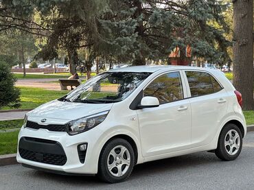 авто в расрочку бишкек: Kia Morning: 2019 г., 1 л, Автомат, Бензин, Хэтчбэк