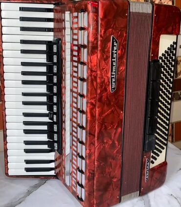 детский синтезатор синий: Аккордеон Weltmeister Serina - Немецкий клавишный аккордеон