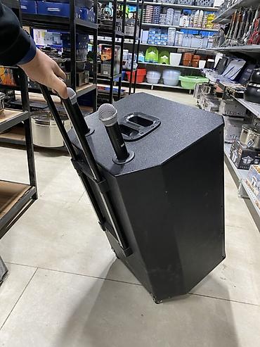 Аудиотехника: С годовой гарантией🔥 Портативная акустическая система на колесах с — 4
