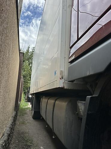Тягачи: Тягач, DAF, 2006 г., Холодильник, рефрижератор — 4