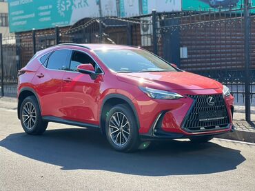 Lexus: Lexus NX: 2022 г., Автомат, Бензин, Кроссовер — 4